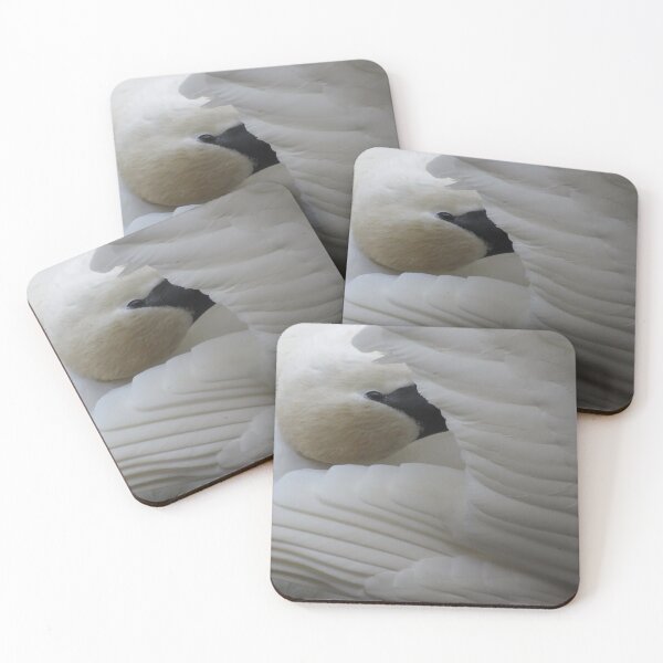 Item preview, Swan Preening designed and sold by Sam Morrison.