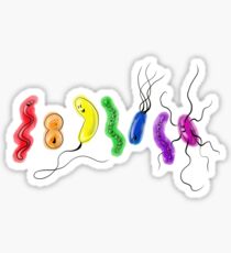 Pride Rainbow Bacteria Sticker