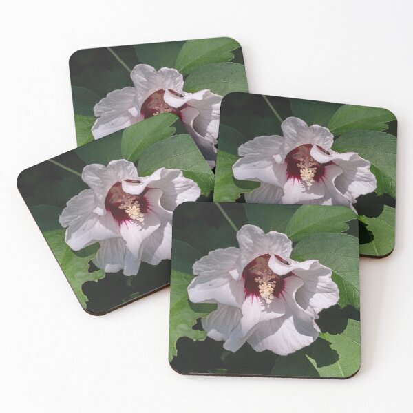 Item preview, White Rose of Sharon  designed and sold by Lanis Rossi.