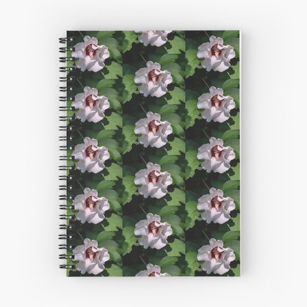 Item preview, White Rose of Sharon  designed and sold by Lanis Rossi.