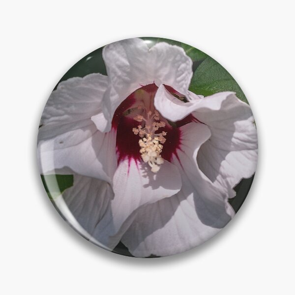 Item preview, White Rose of Sharon  designed and sold by Lanis Rossi.