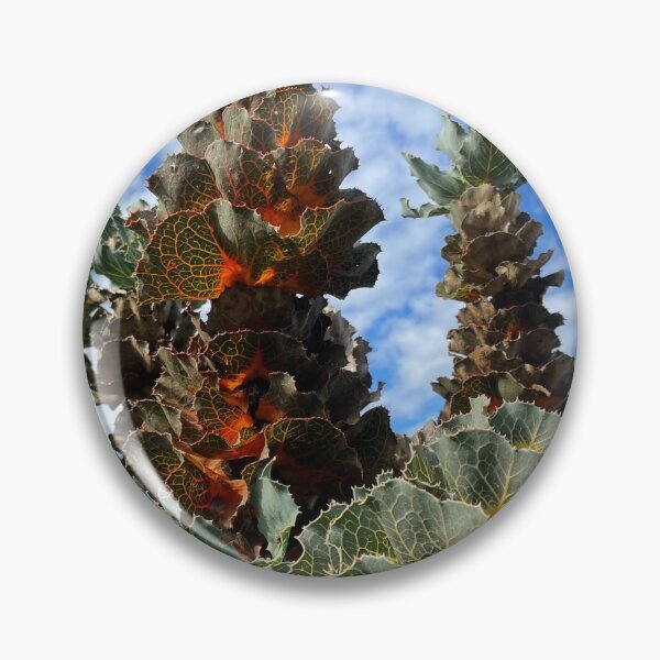 Item preview, Australia - Great Southern - Bremer Bay - Royal Hakea designed and sold by Solveig Winn.