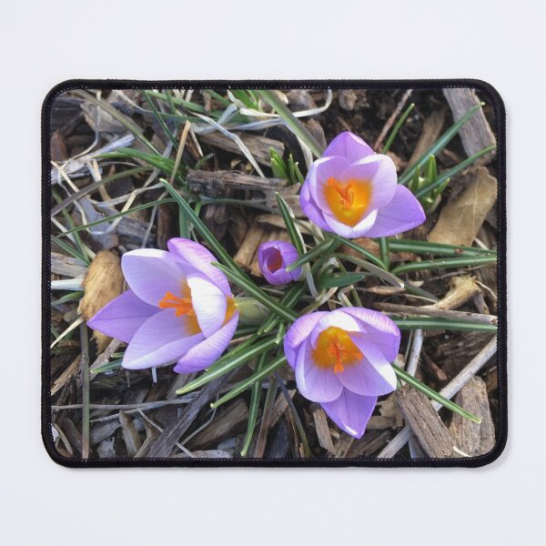 Item preview, Hope designed and sold by Amanda1775.