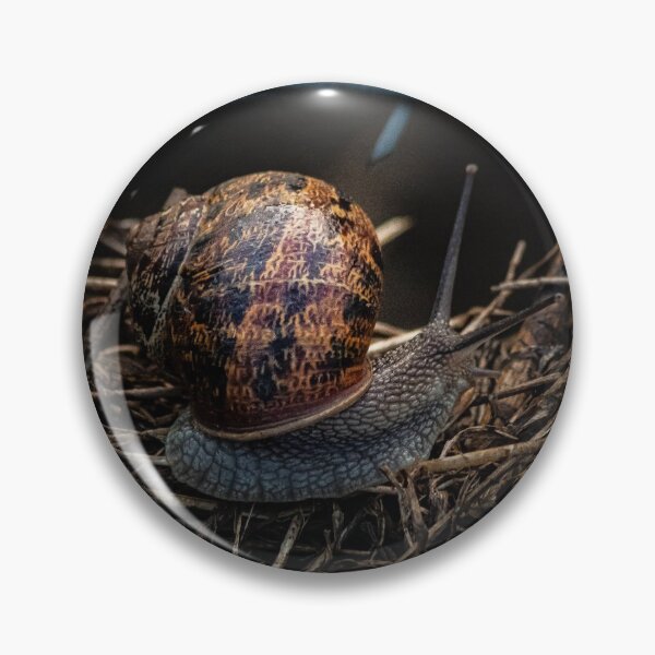 Item preview, The Snail designed and sold by widdy170.