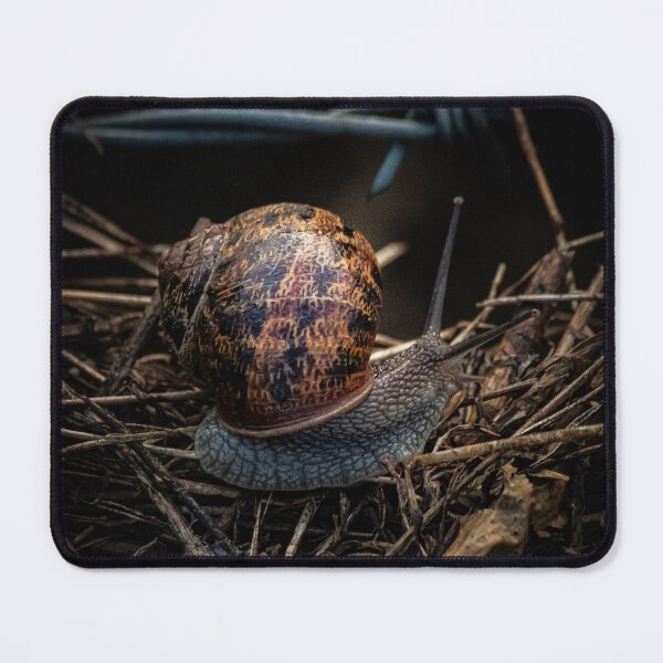 Item preview, The Snail designed and sold by widdy170.