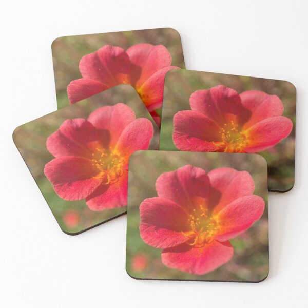 Item preview, Red Leaved Common Purslane designed and sold by Sinemathk.