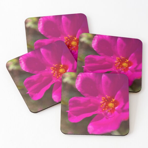 Item preview, Purple Leaved Common Purslane designed and sold by Sinemathk.