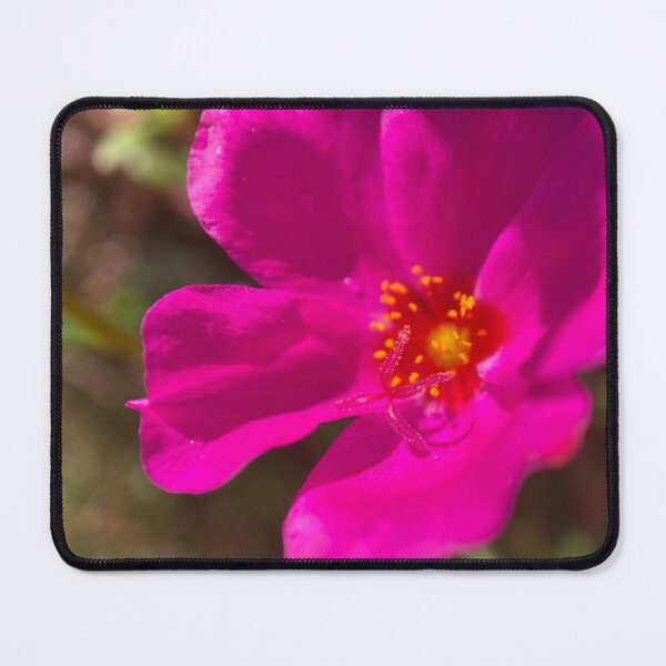 Item preview, Purple Leaved Common Purslane designed and sold by Sinemathk.