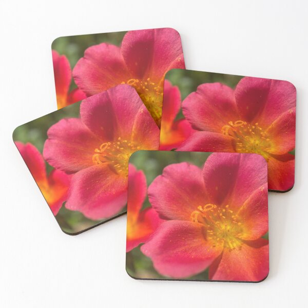 Item preview, Red Leaved Common Purslane designed and sold by Sinemathk.
