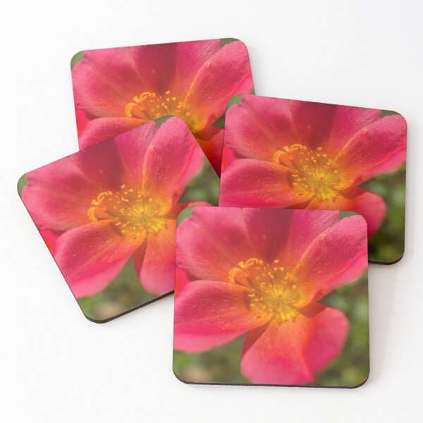 Item preview, Red Leaved Common Purslane designed and sold by Sinemathk.