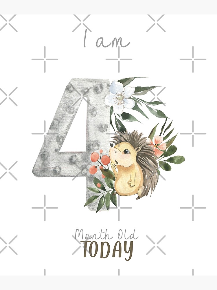 Thumbnail 3 of 3, Poster, I am 4 month old today watercolor set animal woodland  birthday for newborn designed and sold by Moonskyshop.