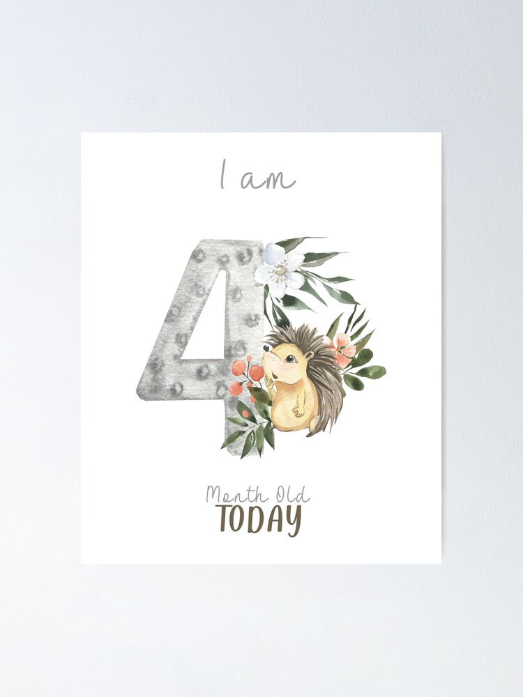 Thumbnail 1 of 3, Poster, I am 4 month old today watercolor set animal woodland  birthday for newborn designed and sold by Moonskyshop.