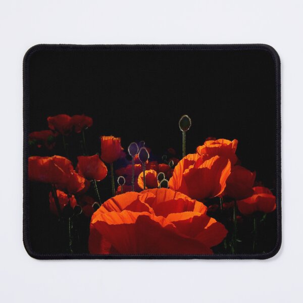 Item preview, Glowing Scarlet Poppies Photography on Black Background designed and sold by wild.geranium.design.