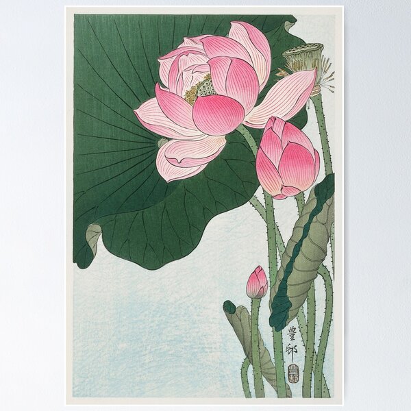 Item preview, Japanese Woodblock Print of  Lotus  by Ohara Koson  designed and sold by Tamas Das.