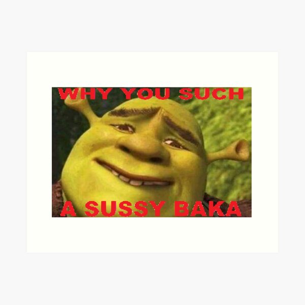 Ur tal sussy baka engraçado sussy baka meme camisola com capuz 6xl algodão  dekus um sussy baka sussy significado sussy significado sussy