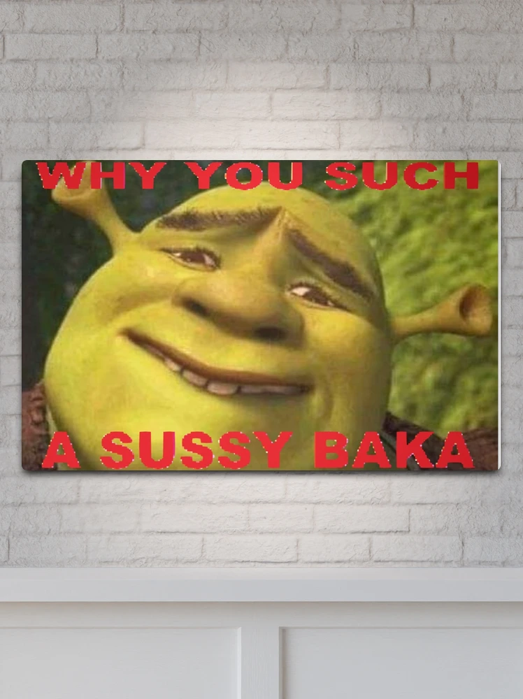 sussy baka being cringe and racist : r/okbuddybaka