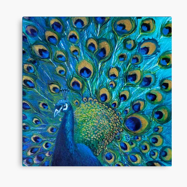 Peacock Full Glory 2 Canvas Print