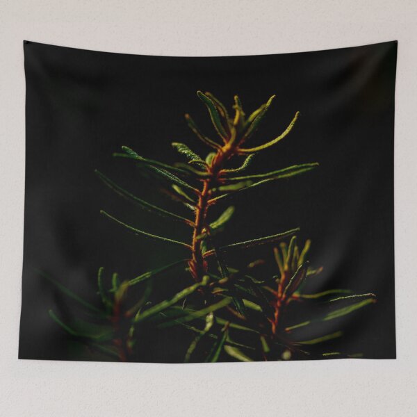 Item preview, Wild rosemary in the forest shade designed and sold by yarvin13.