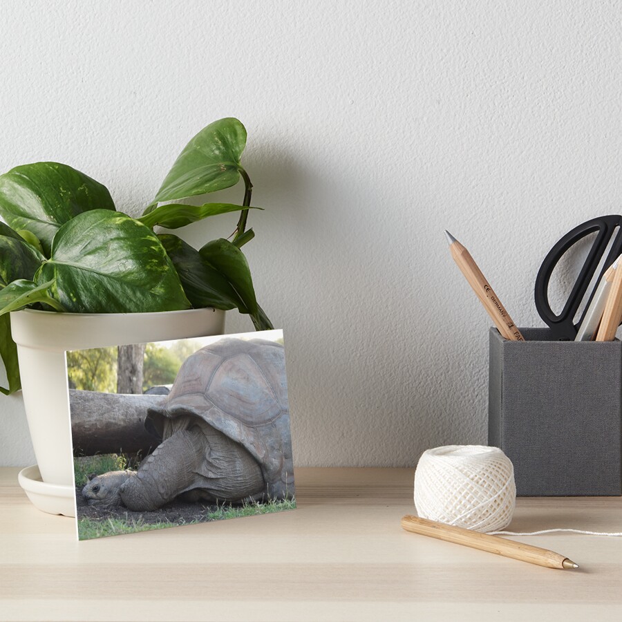 Item preview, Art Board Print designed and sold by TimelessPics.