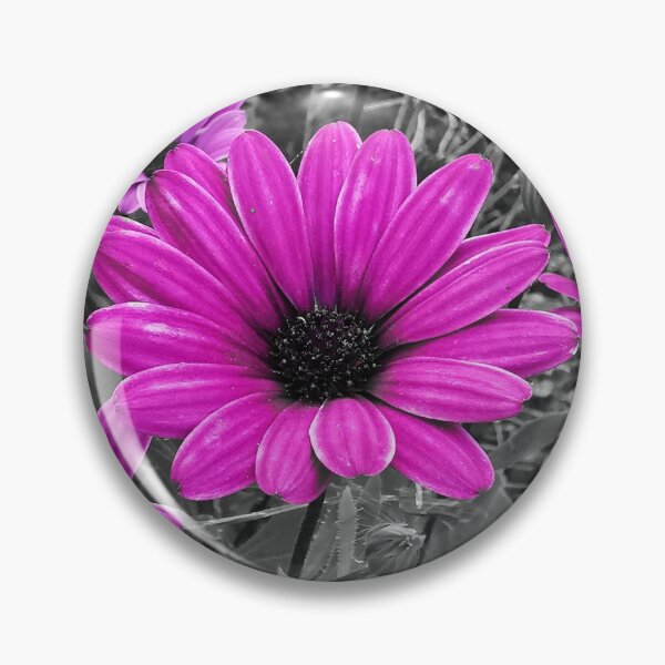 Item preview, Pink African daisy flowers designed and sold by KaisPrints.