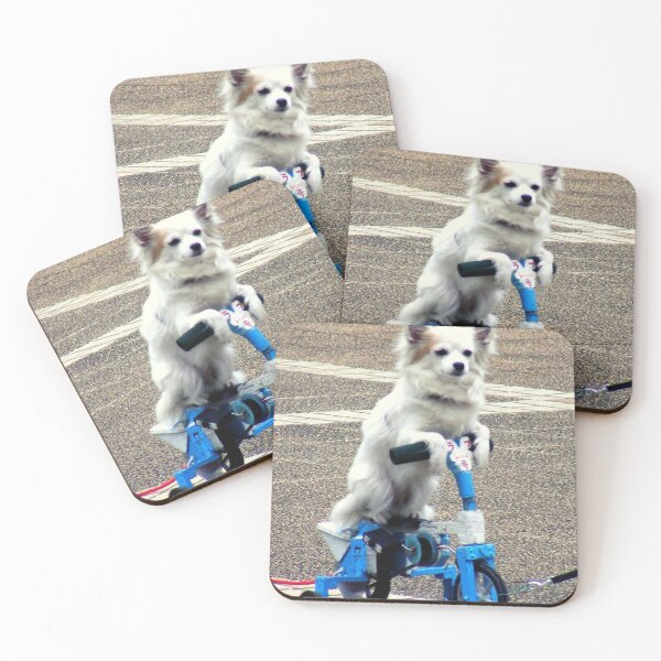 Item preview, Dog On Bike designed and sold by Trendy Design.