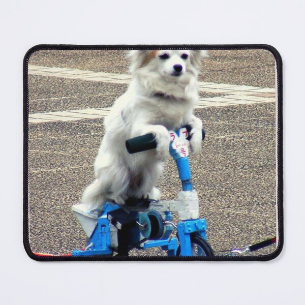 Item preview, Dog On Bike designed and sold by Trendy Design.