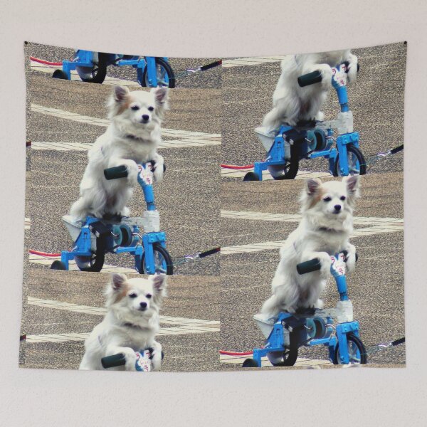 Item preview, Dog On Bike designed and sold by Trendy Design.