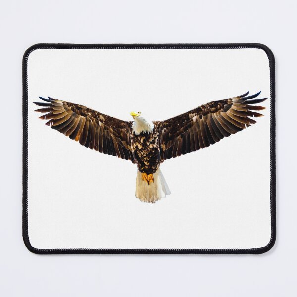 Item preview, Soaring Bald Eagle designed and sold by Dalyndigital Photography.