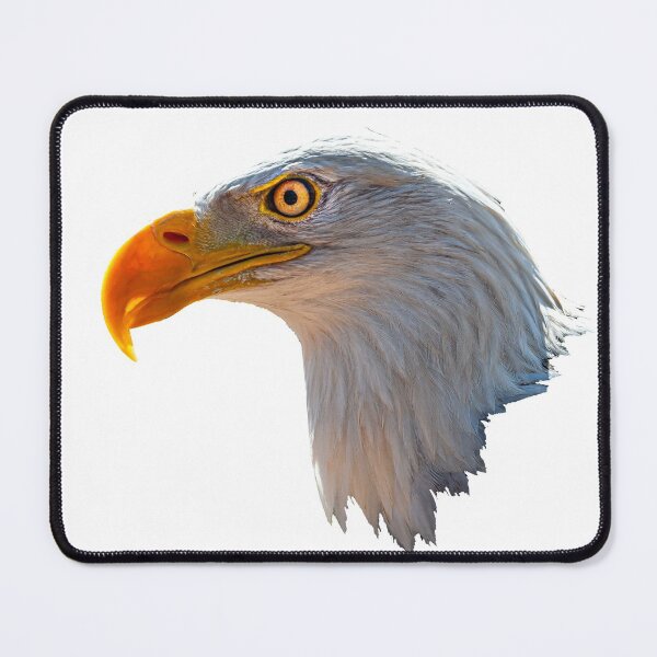 Item preview, Bald Eagle Head designed and sold by Dalyndigital Photography.