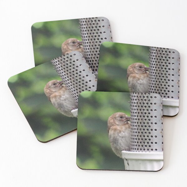 Item preview, feeding time designed and sold by KathleenDawson.