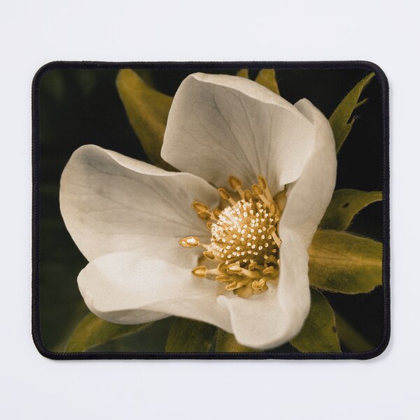 Item preview, Strawberry flower designed and sold by Gaspar Avila.