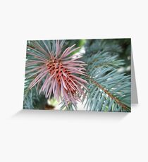 Hypnotic Cone Greeting Card