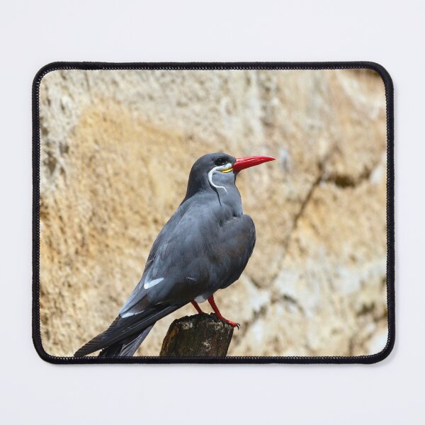 Item preview, Inca Tern Perched on a Branch designed and sold by MarkUK97.
