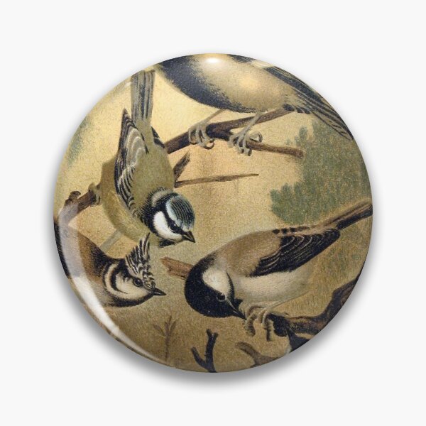 Item preview, Bluetit, Great tit and other Titmice birds designed and sold by Vintage Designs +.