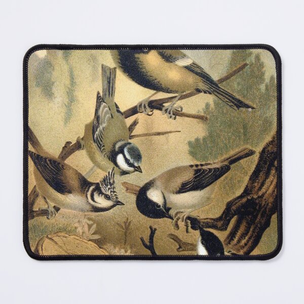 Item preview, Bluetit, Great tit and other Titmice birds designed and sold by Vintage Designs +.