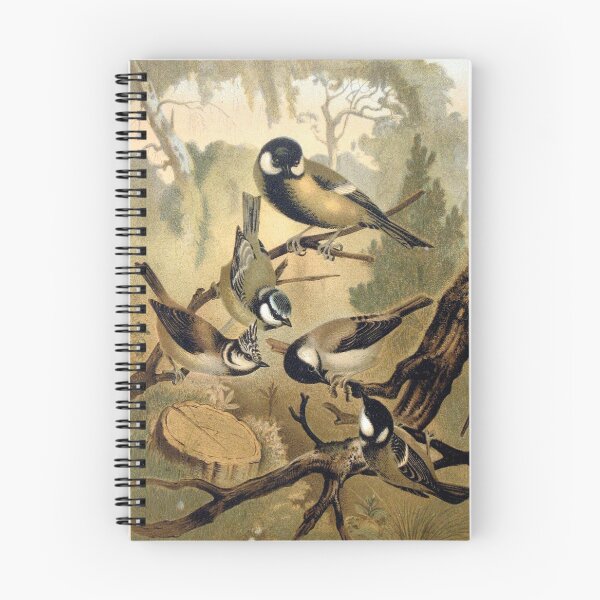 Item preview, Bluetit, Great tit and other Titmice birds designed and sold by Vintage Designs +.