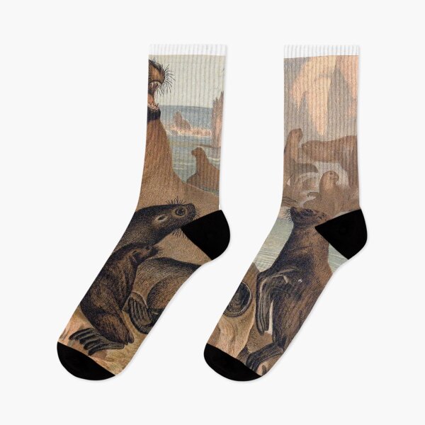 Item preview, Sealion vintage kitch illustration designed and sold by Vintage Designs +.