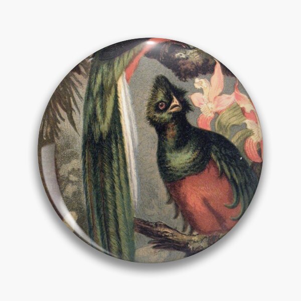 Item preview, Resplendent Trogon bird designed and sold by Vintage Designs +.