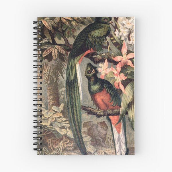 Item preview, Resplendent Trogon bird designed and sold by Vintage Designs +.