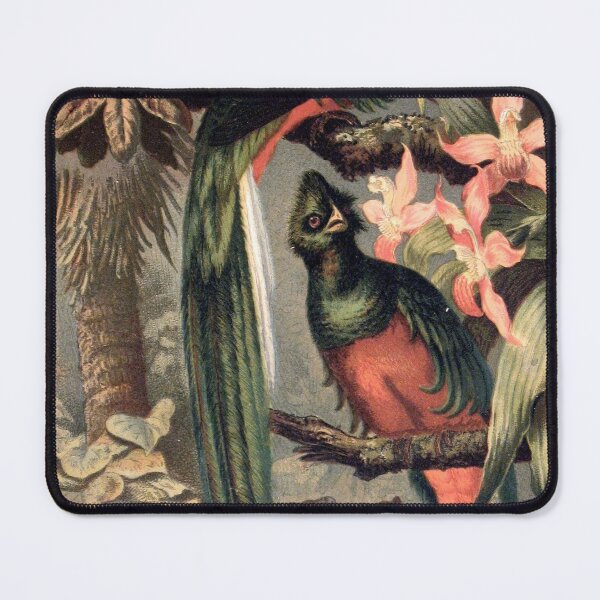 Item preview, Resplendent Trogon bird designed and sold by Vintage Designs +.