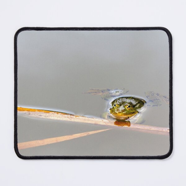 Item preview, Edible Frog Hanging Onto Reed in a Pond designed and sold by MarkUK97.