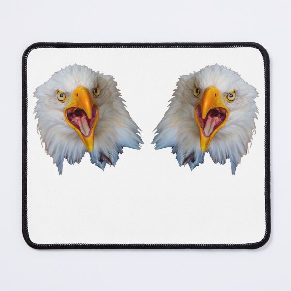 Item preview, Double Screaming Bald Eagles designed and sold by Dalyndigital Photography.