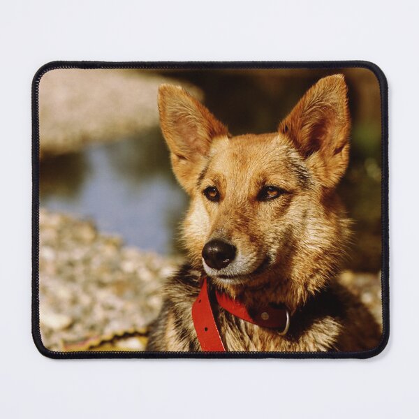 Item preview, Foxy Lady designed and sold by Benjamin Fauvel.