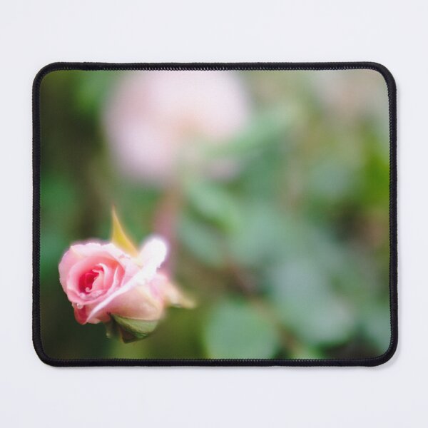 Item preview, Baby Rose designed and sold by Benjamin Fauvel.