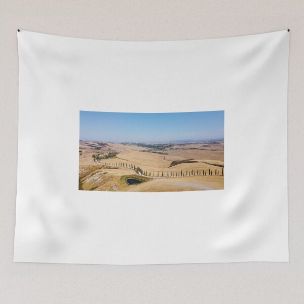 Item preview, Cypress path landscape in Val D Orcia designed and sold by pietrofoto.