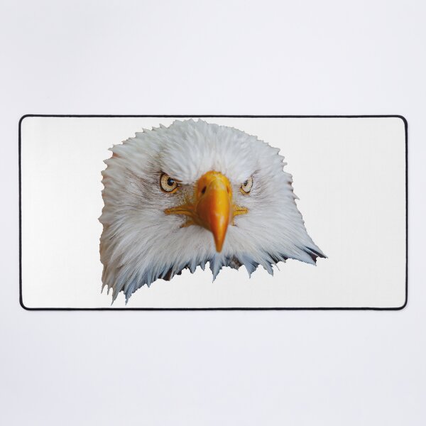Item preview, Bald Eagle Just Looking! designed and sold by Dalyndigital Photography.