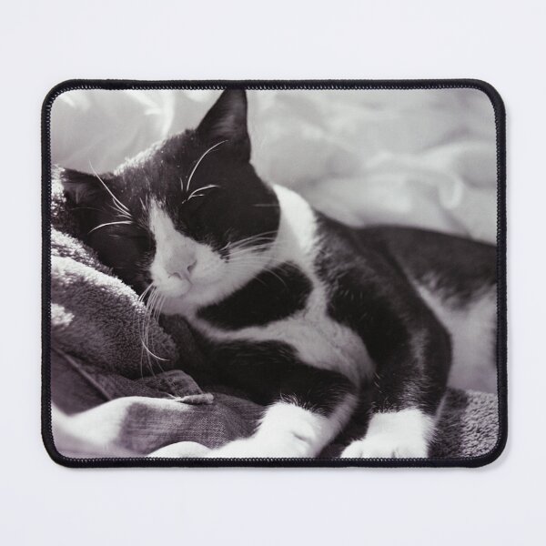 Item preview, Cat at ease designed and sold by Benjamin Fauvel.