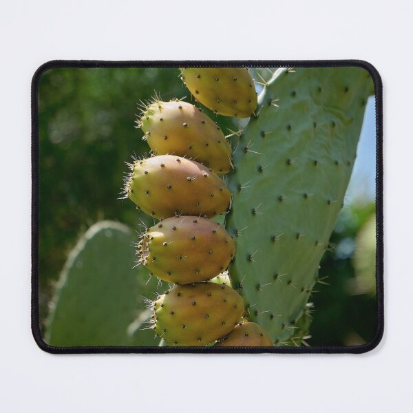 Item preview, prickly pear designed and sold by Kiran-Fine-Art.