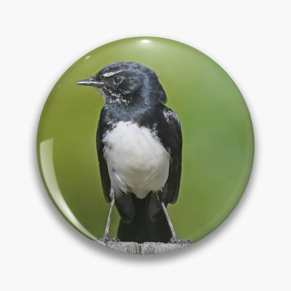 Item preview, Willy on a post designed and sold by Doug Cliff.
