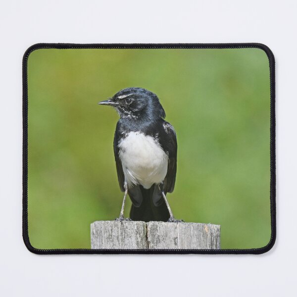 Item preview, Willy on a post designed and sold by Doug Cliff.
